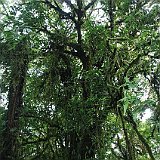 Costa Rica20150406-1736-1136